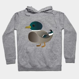 Cute male mallard Hoodie